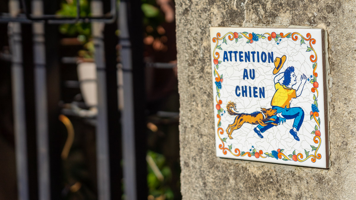 Hundehaftpflicht, Pfichtversicherung in Deutschland